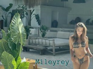 Mileyrey