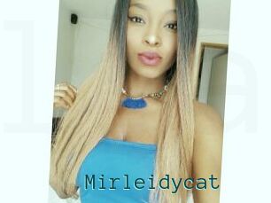Mirleidycat