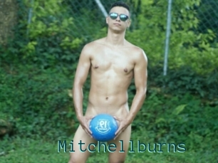 Mitchellburns