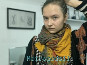 Moiregodsil