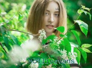 Mollieevans
