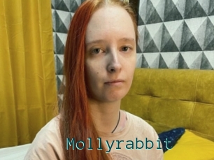 Mollyrabbit