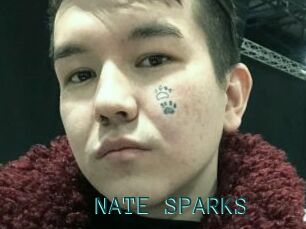 NATE_SPARKS
