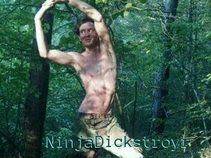 NinjaDickstroyr