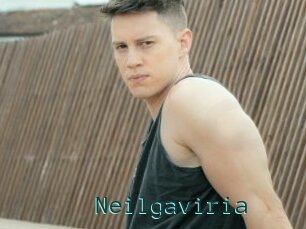 Neilgaviria