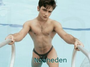 Noaheden