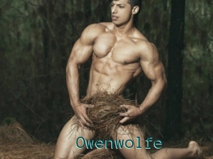 Owenwolfe