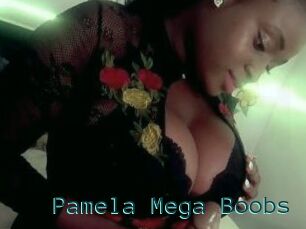 Pamela_Mega_Boobs