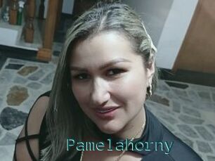 Pamelahorny