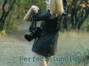 PerfectBlondie1