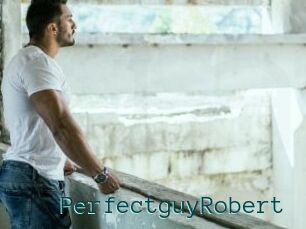 PerfectguyRobert