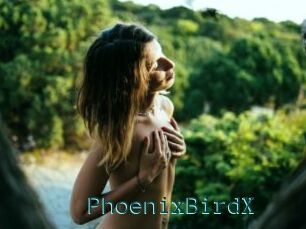 PhoenixBirdX