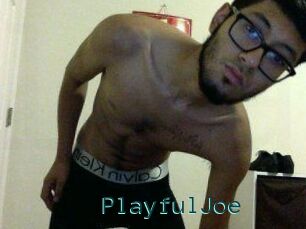 PlayfulJoe