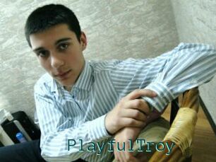 PlayfulTroy