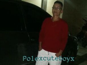 Polexcuteboyx