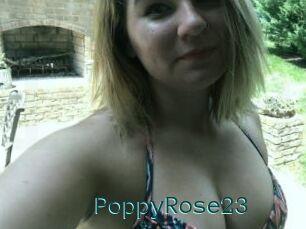 PoppyRose23