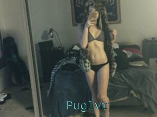 Puglvr