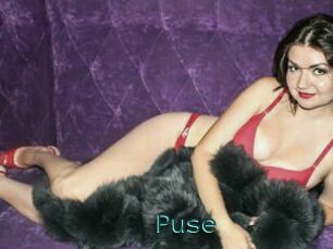 Puse