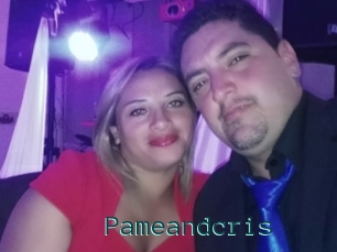 Pameandcris