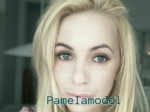 Pamelamodel