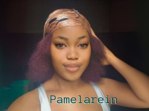 Pamelarein