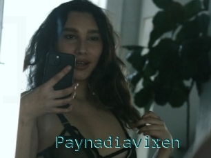 Paynadiavixen