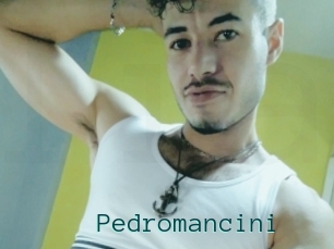 Pedromancini