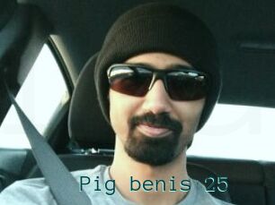 Pig_benis_25
