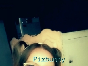 Pixbunny