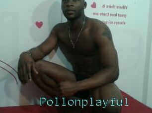 Pollonplayful