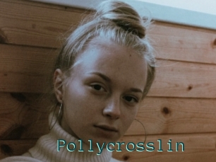 Pollycrosslin