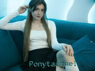 Ponytaamnel