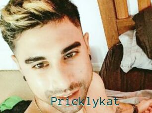 Pricklykat
