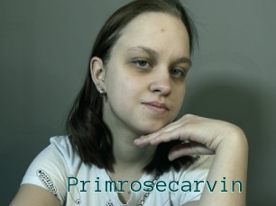 Primrosecarvin