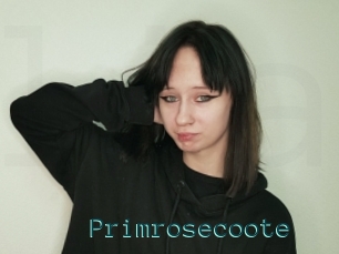 Primrosecoote