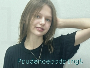 Prudencecodringt