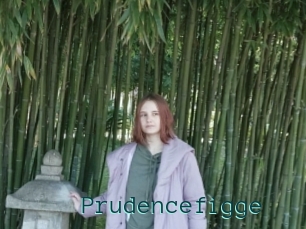 Prudencefigge