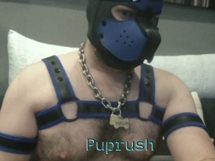 Puprush
