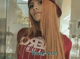 Raaccon
