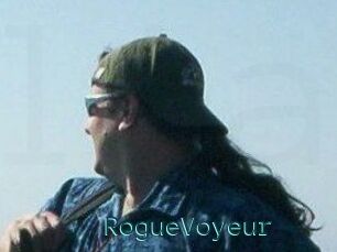RogueVoyeur