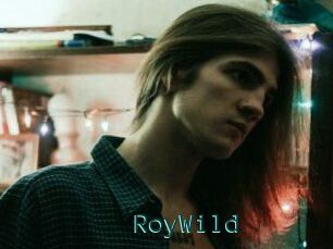 RoyWild