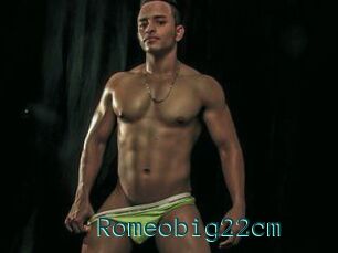 Romeobig22cm
