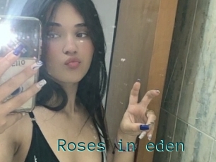 Roses_in_eden