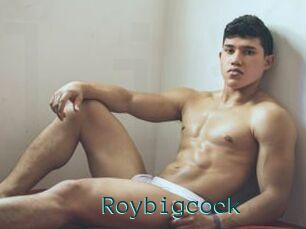 Roybigcock