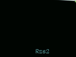 Rzs2