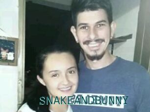 SNAKEANDBUNNY