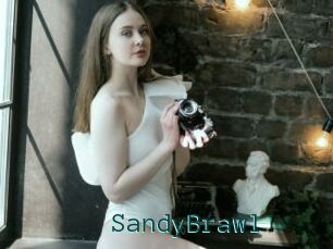 SandyBrawl