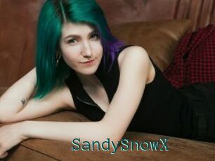 SandySnowX