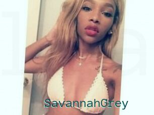 Savannah_Grey