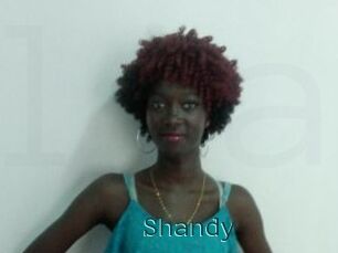 Shandy